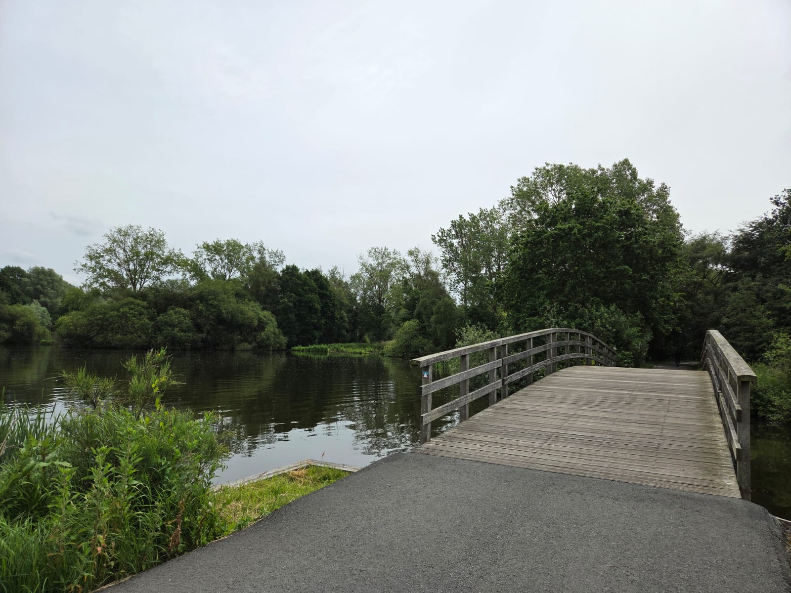 Brug naar verandering